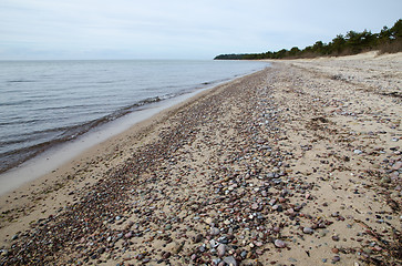 Image showing Sandy shoreline with pebbles