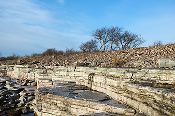 Image showing White cliffs at coastline