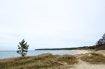 Image showing Sand Beach at a bay of the Baltic Sea