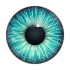 Image showing turquoise eye texture