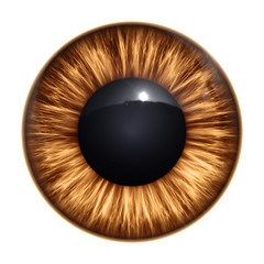 Image showing brown eye texture