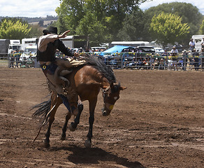 Image showing Ride Em Cowboy