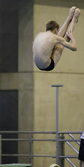 Image showing Diving