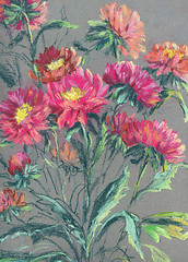 Image showing Asters