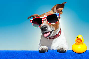 Image showing summer holiday dog 