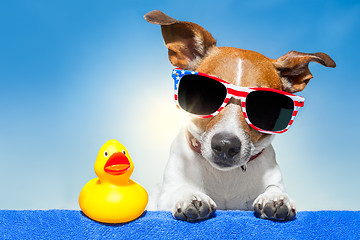 Image showing summer holiday dog 