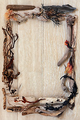 Image showing Driftwood and Seaweed