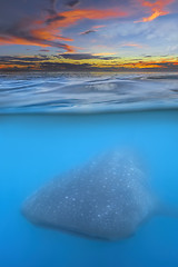 Image showing Whale shark below