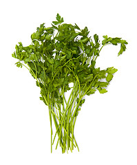 Image showing Parsley