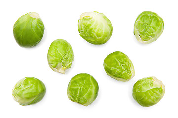 Image showing Brussels sprouts