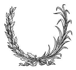 Image showing triumphal branch