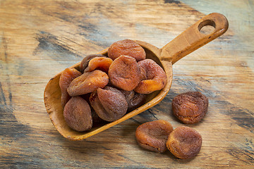 Image showing sun dried Turkish apricots