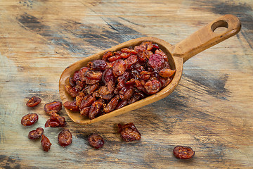 Image showing dried cranberries