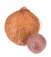 Image showing Coconuts