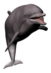 Image showing Smiling Dolphin