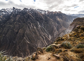 Image showing Colca Canyon Overview