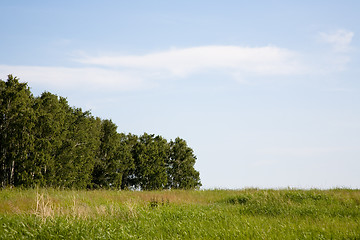 Image showing Summer landscape.
