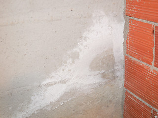 Image showing Damp moisture