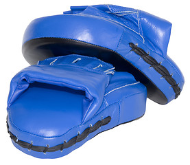 Image showing Blue Punching Focus Mitts Cutout