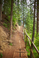 Image showing Footpath in wood