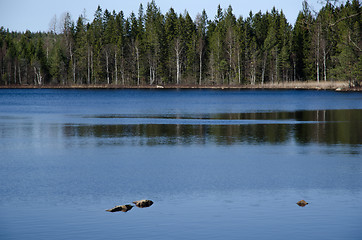 Image showing Blue forest lake