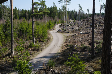 Image showing Winding forest dirt road