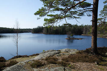 Image showing View at a forest lake