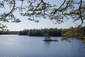 Image showing Woodland lake view