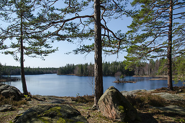 Image showing Calm lake in the woodland