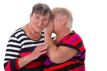 Image showing Two senior women whispering