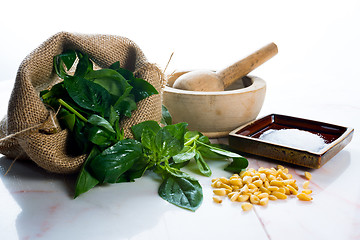 Image showing Pesto ingredients