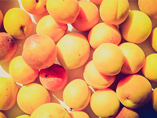 Image showing Retro look Apricots