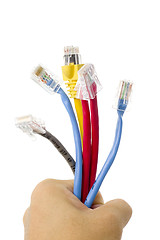 Image showing Hand holding network cables

