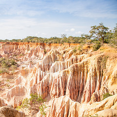 Image showing Marafa Canyon - Kenya