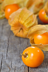 Image showing Physalis fruit