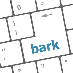 Image showing bark word on keyboard key, notebook computer