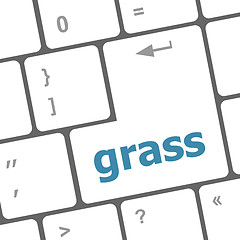 Image showing Computer keyboard button with grass button