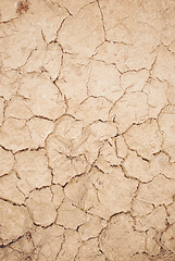 Image showing Dry cracked earth