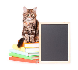 Image showing Kitten with chalkboard