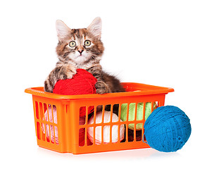 Image showing Kitten with clews of thread