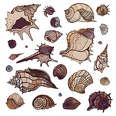 Image showing Sea shells set.