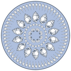 Image showing  Mandala made of Seashells.