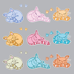 Image showing Sleeping cats.