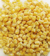 Image showing Frozen Sweet Corn