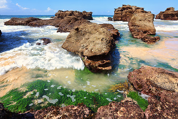 Image showing Seagrass plants among the rocks at low tide, Australia