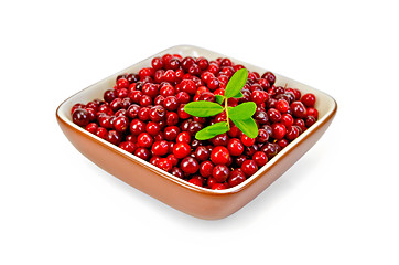 Image showing Lingonberry ripe in a bowl