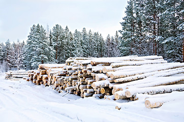 Image showing Timber on the snow in winter