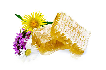 Image showing Honeycomb with flowers