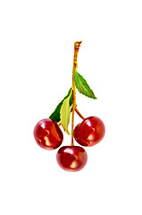Image showing Cherries on a branch