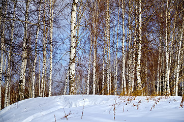 Image showing Winter landscape 1